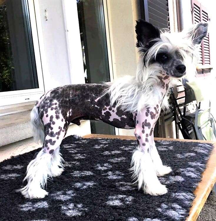 Instead Arc De Triomph