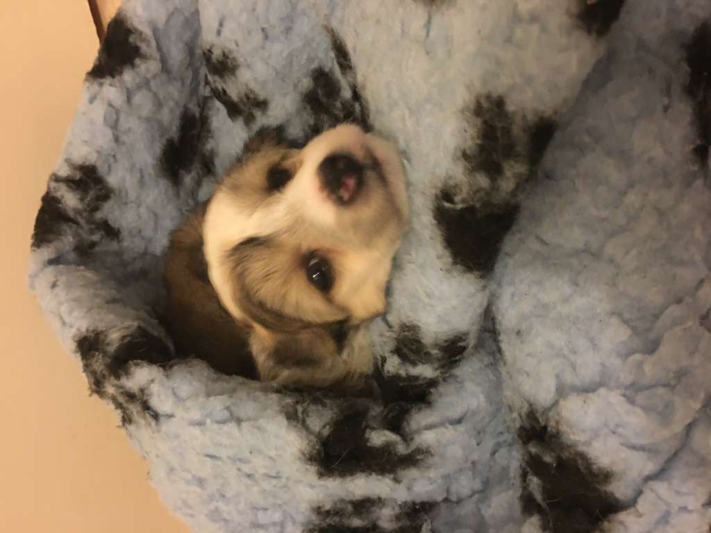 Instead Azzurro Del Mare