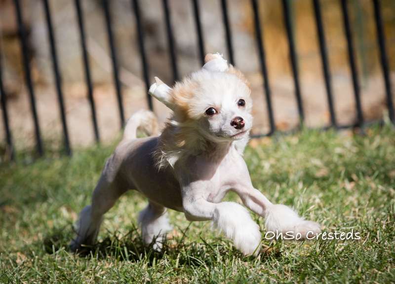 OhSo Drinks Are On Me