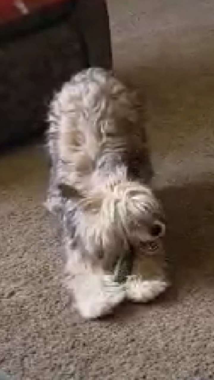 OhSo Dancing In The Dark