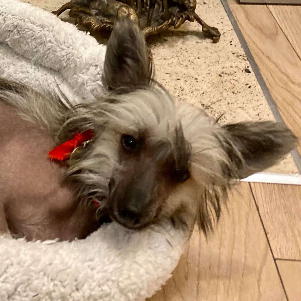 Sasquehanna Eksterna