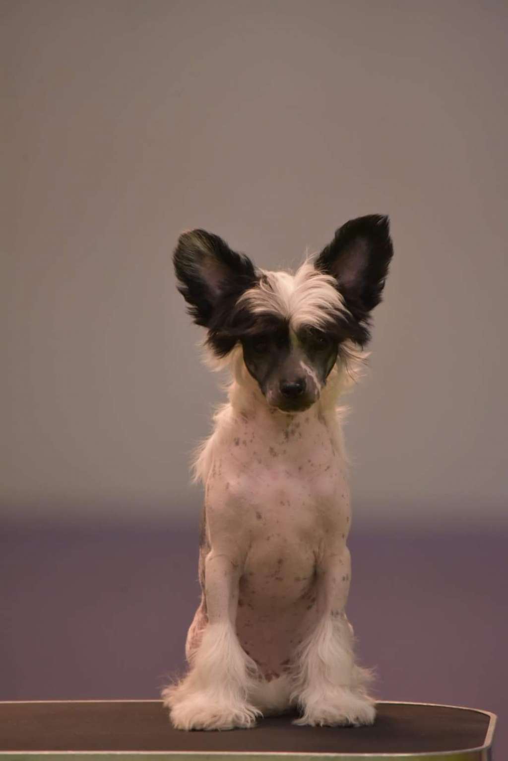 MhaLhi's Love Around The Corner