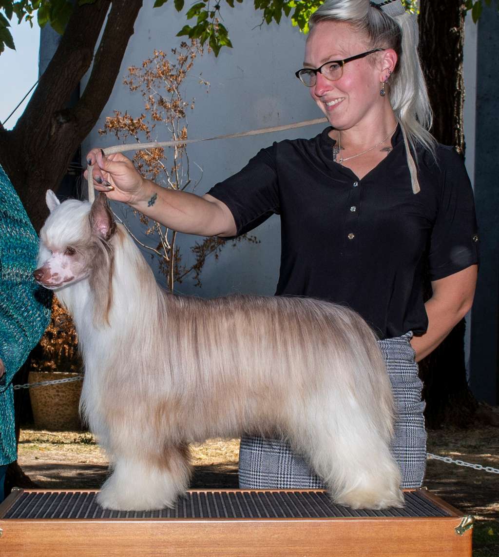 Jewels Let Freedom Ring