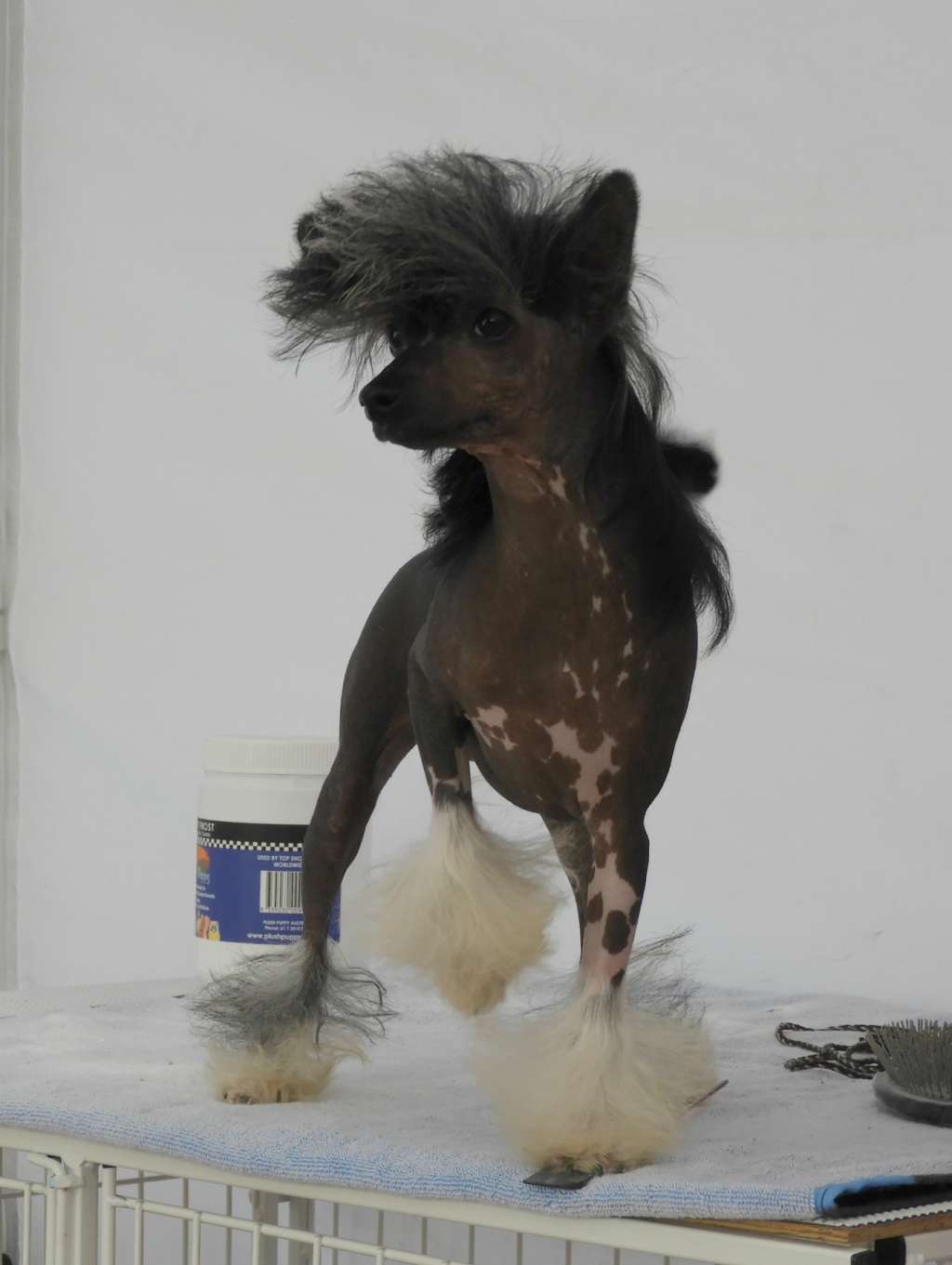 Karakush Luv The Skin Youre In