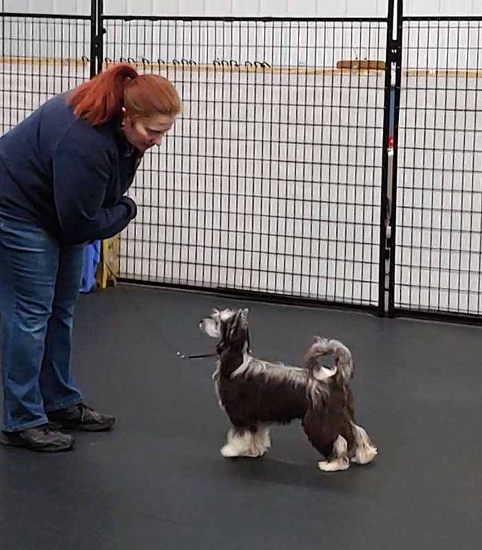 NV and Valour's Bound by Starlight