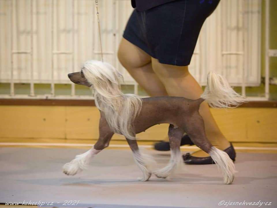 Aria   Winning Smile