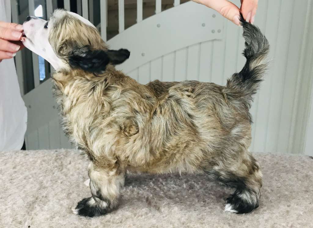 Moelmo's Breathtaking