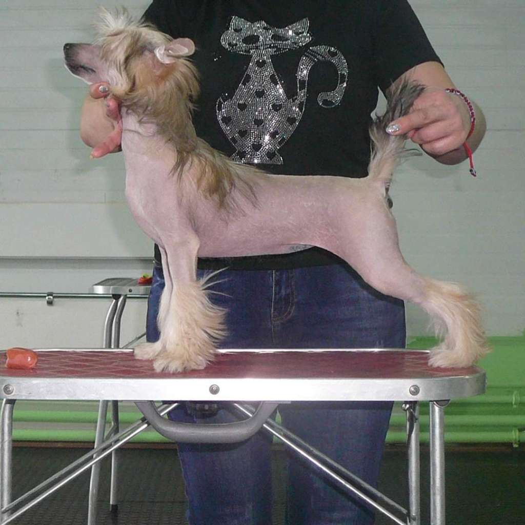 Ilatani Style Impress With Victories