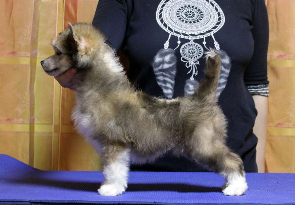 Via Della Seta Juicy Fruit