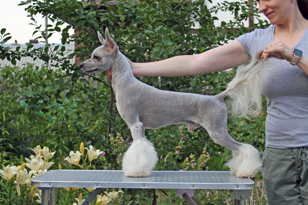 Via Della Seta J*Adore Mon Style