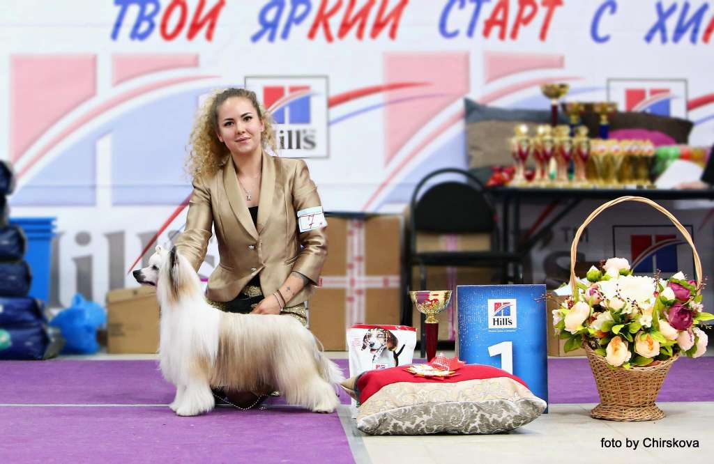 Via Della Seta Jet Set