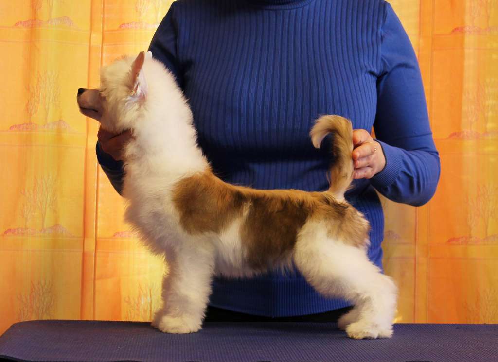 Via Della Seta Jardin Secret