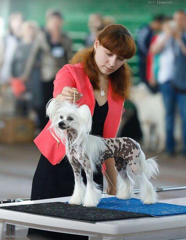 Golden Valley Apple First of All