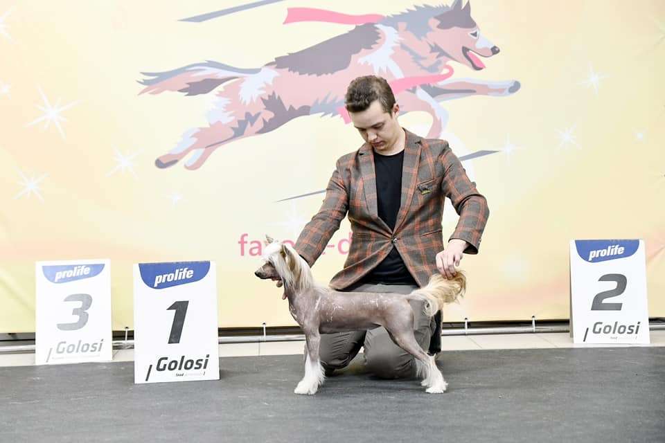 Style Bravo  Toskana