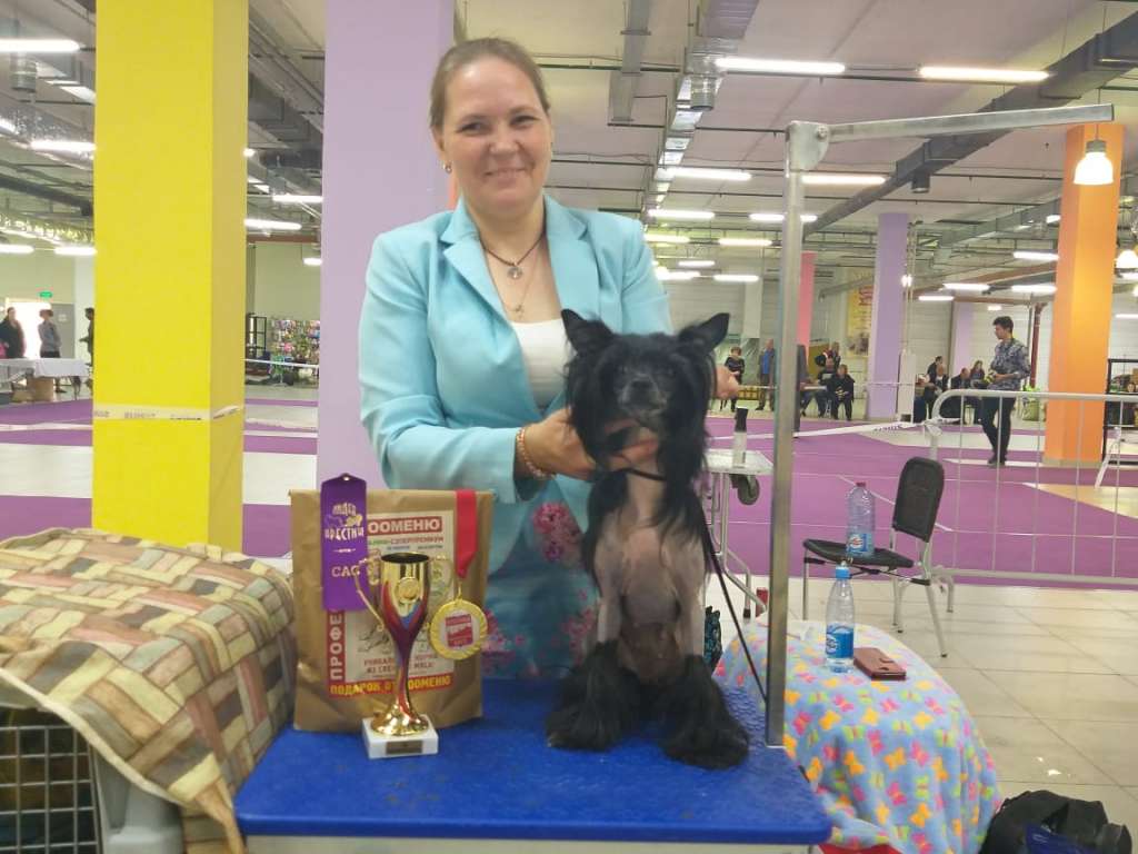 Vellar Pljus Akapella Dushi