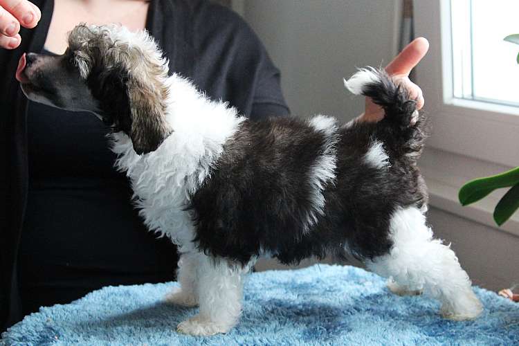 Tinted's Sound The Alarm