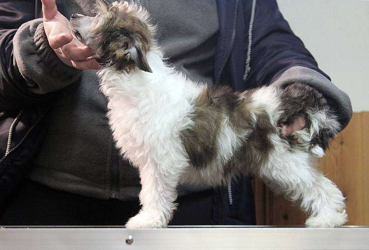 Tinted's Not Today Thank You