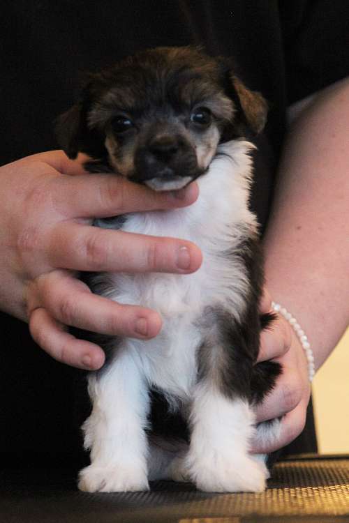 Tinted's You need a mint