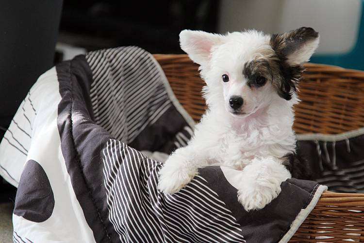 Tinted's Sticky Situation