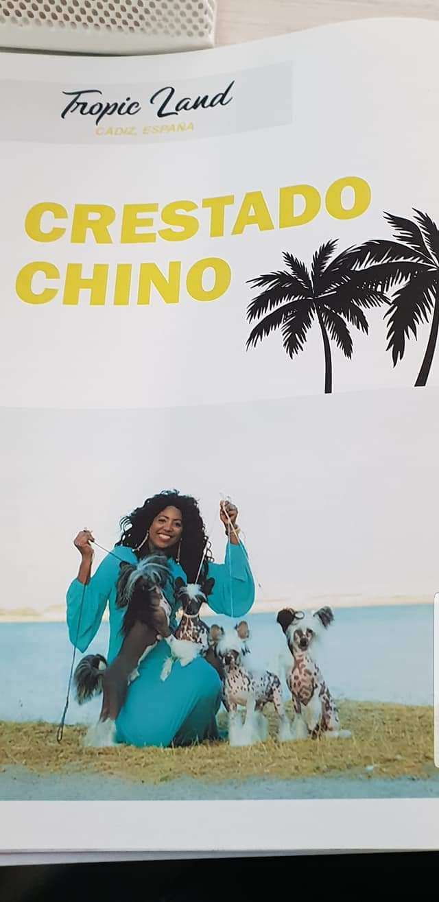 Truhan De Tropic Land