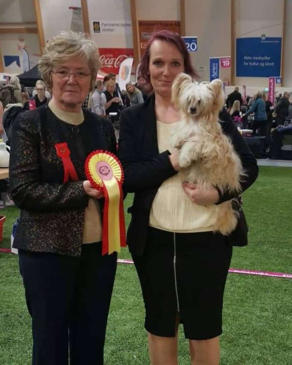 Curlycrest's Summertime Sadness