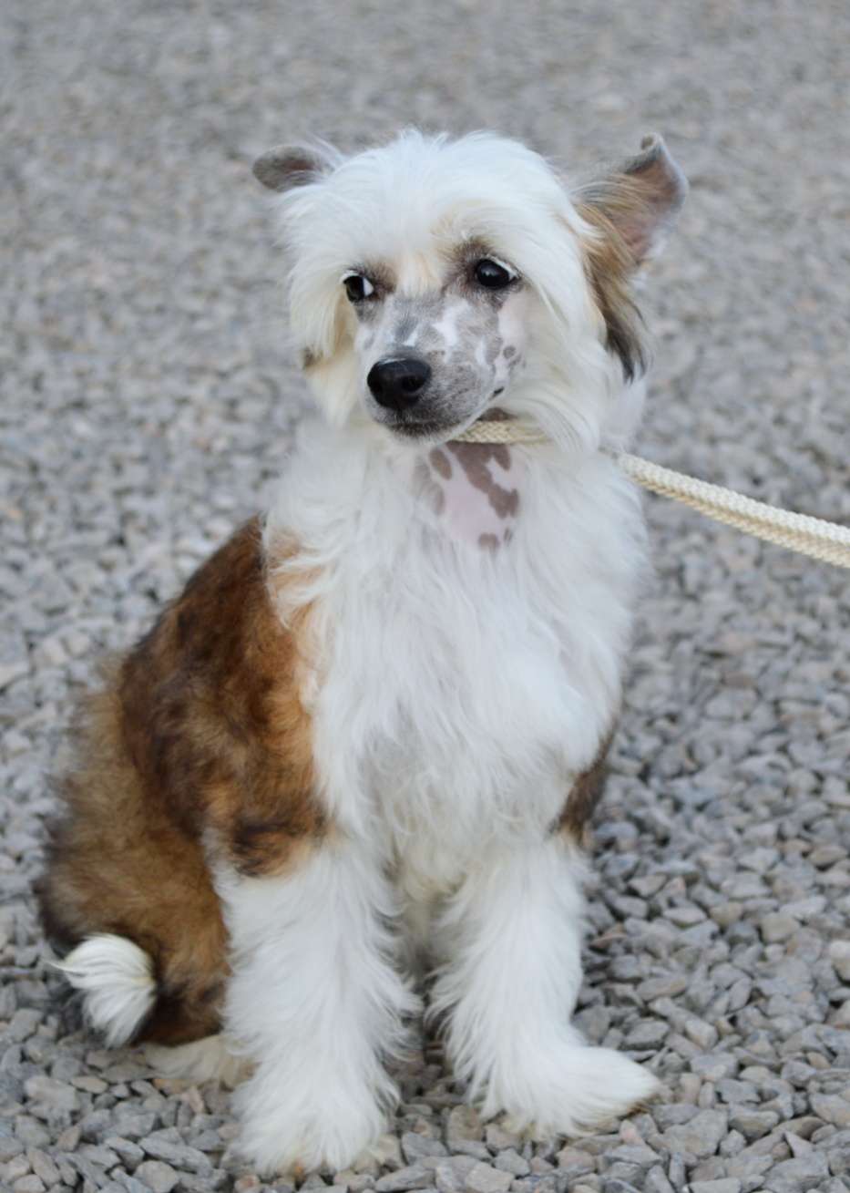 Olivia Rose z Andelovy dlane