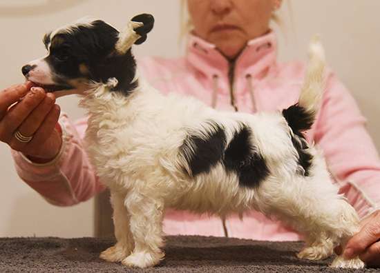 Jean Dark Take On Me