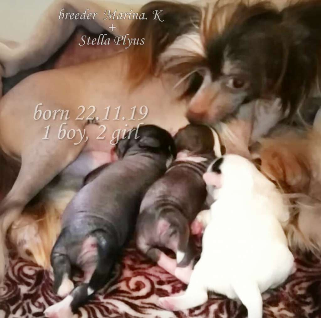 Fausija Jumana Daria Rosberg