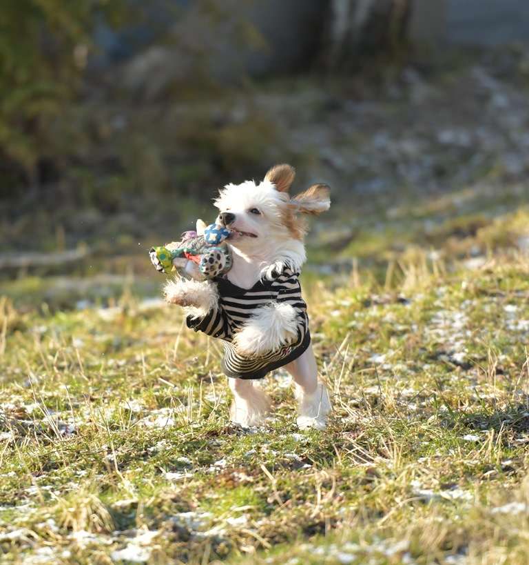 HitLine Ltd Centurion