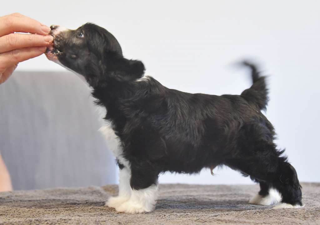 Jean Dark Under The Spell