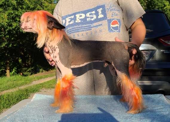 Long Haul's Jack Frost Never Fails