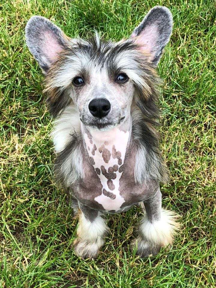 Fundoklia-völgyi Kaszanics Tequila