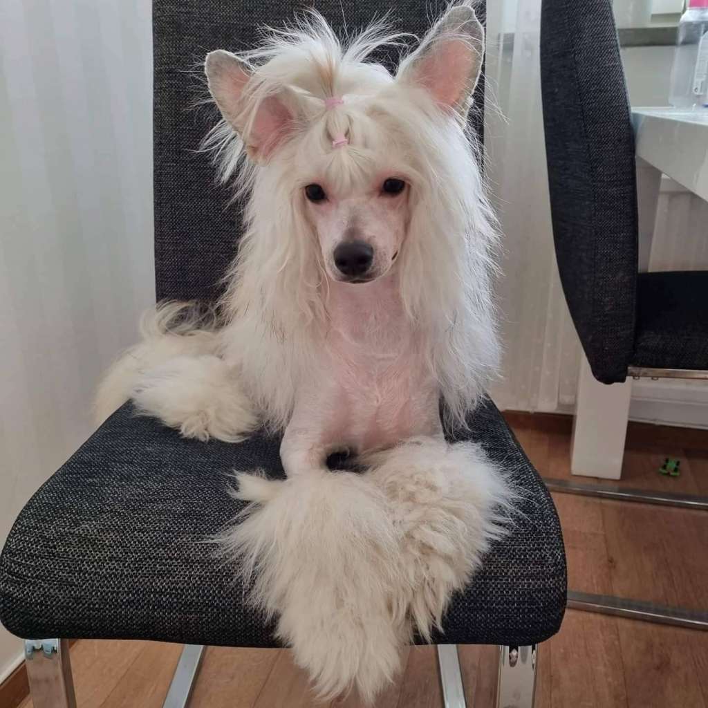 Ridgecrest's Fear No Madness