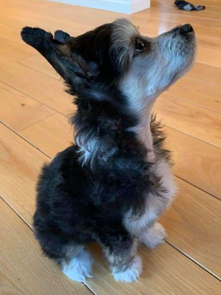 Ridgecrest's Pretty Sweet