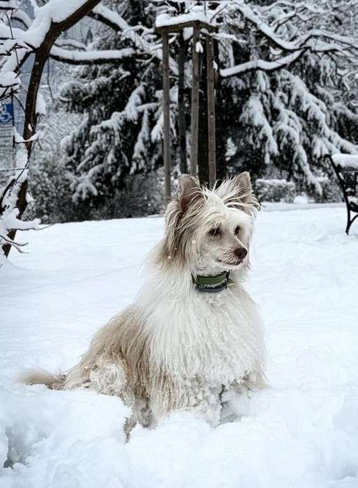 Donny Eaddrick Furswood