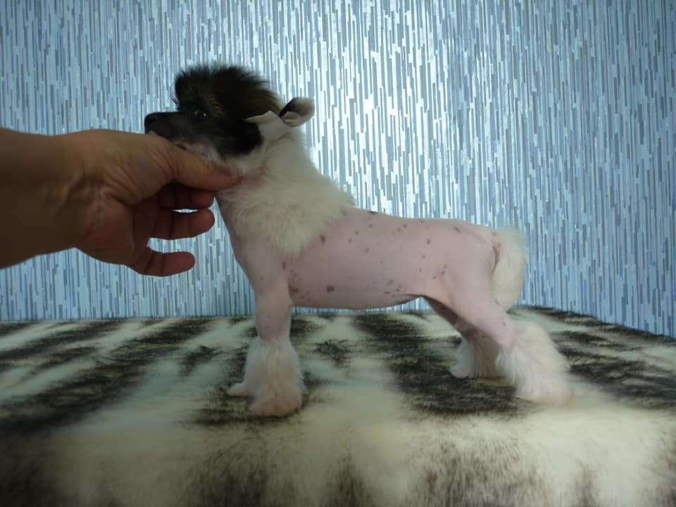 Glenlaif Isabelle Adjani