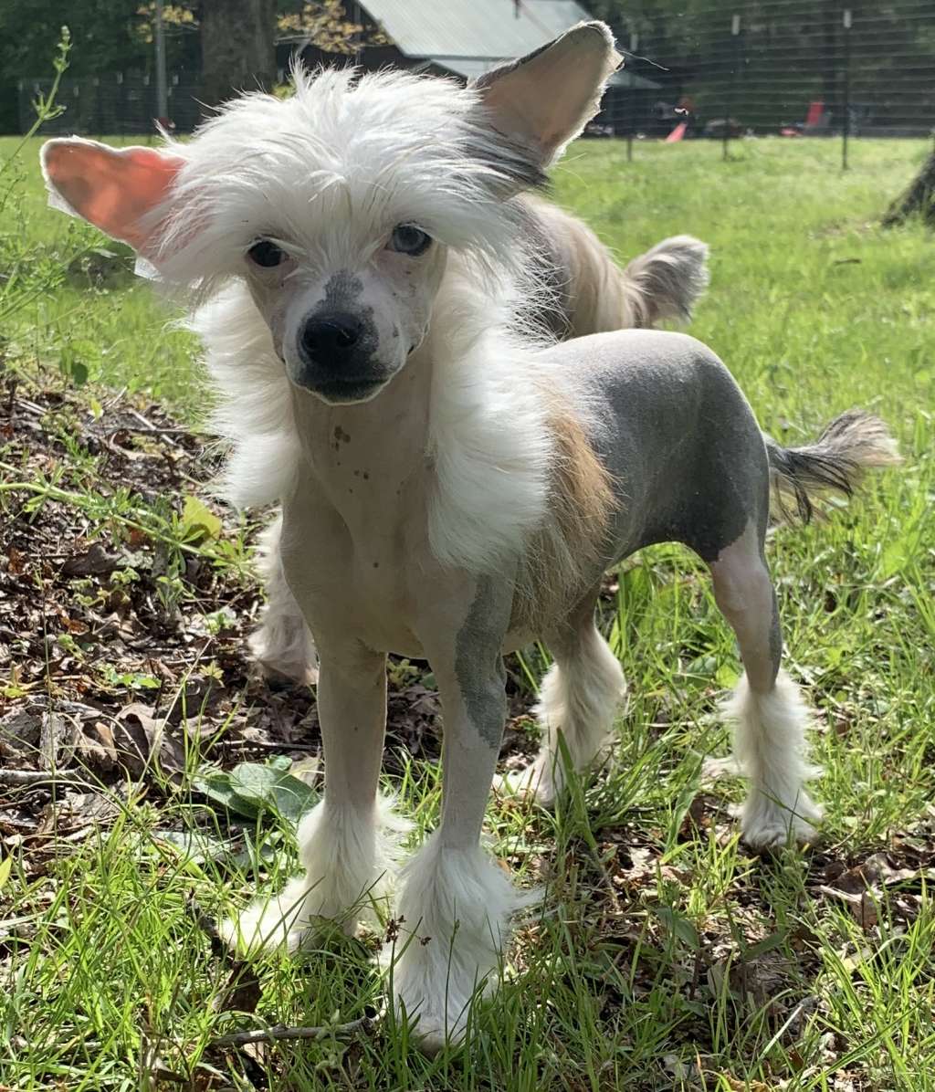 DeBahTrio More Than Meets The Eye