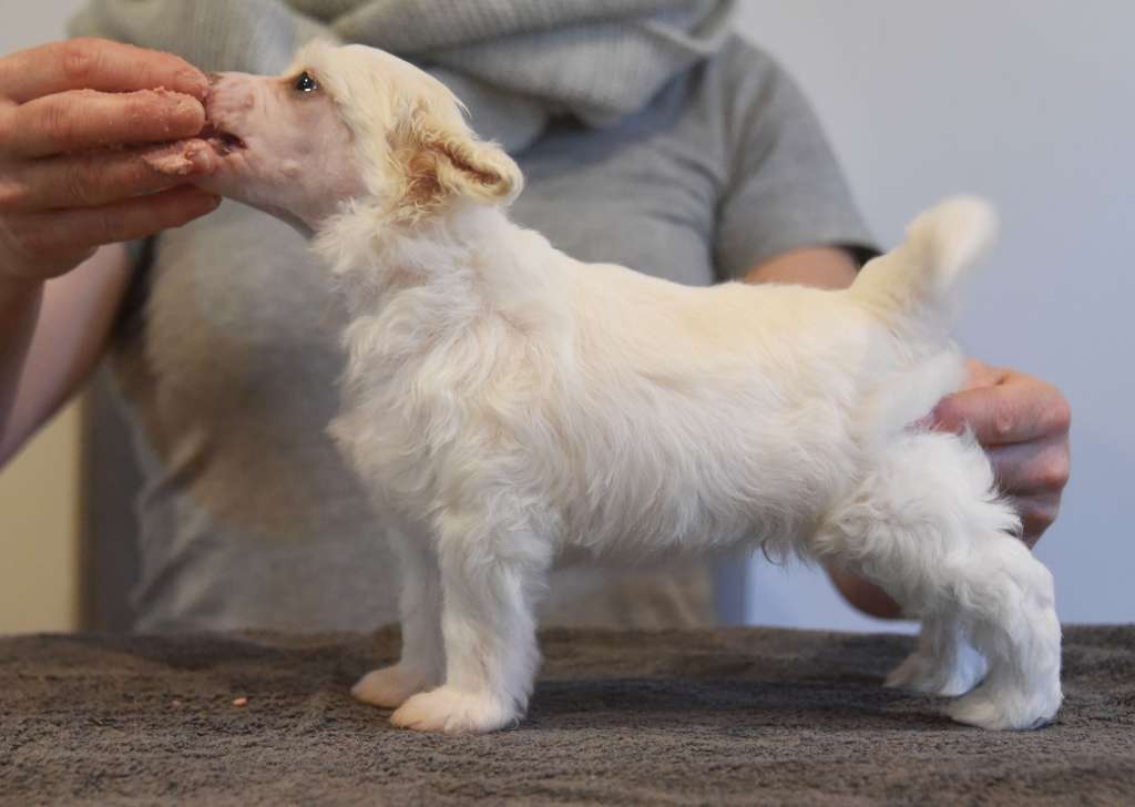 Jean Dark Up To Date