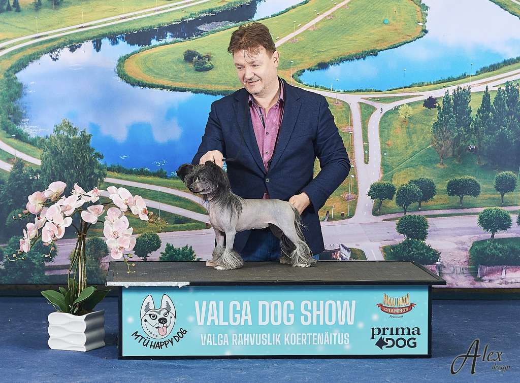 Jean Dark Uptown Girl To Jammings