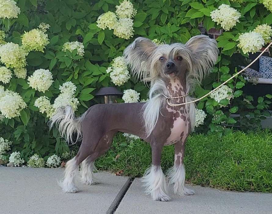 Klearly Not Today, Satan