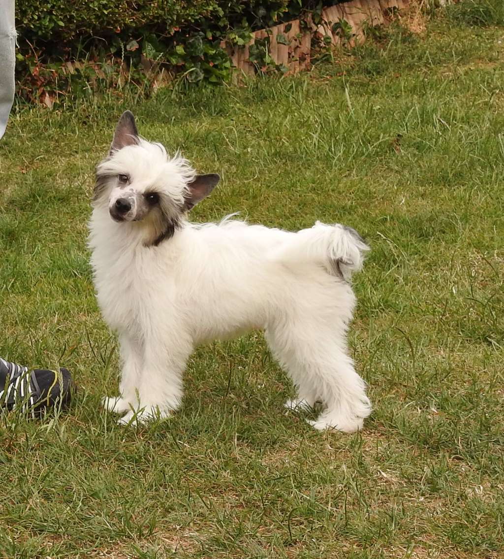 Zero Tolerance Takes Two To Tango