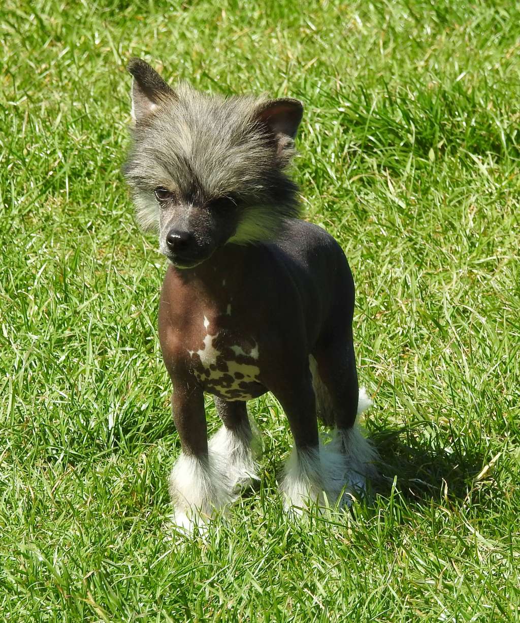 Zero Tolerance Tequila Sunrise