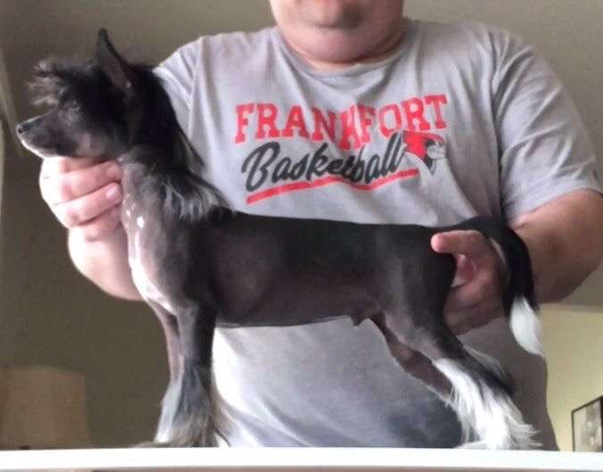 Edelweiss Nino Bonito