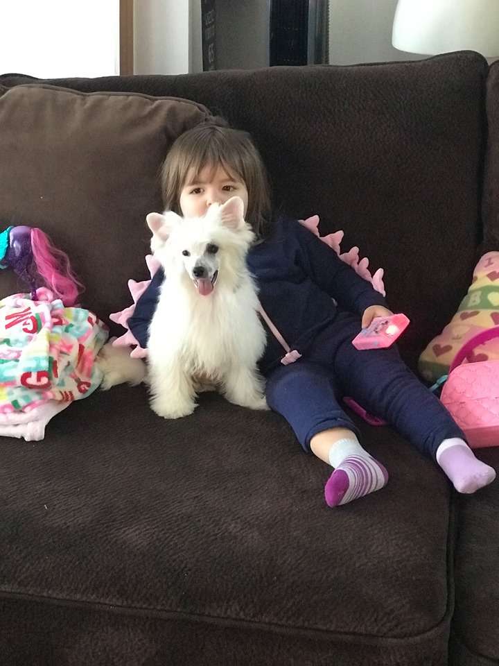 The Lion Lady's Sweet Magnolia