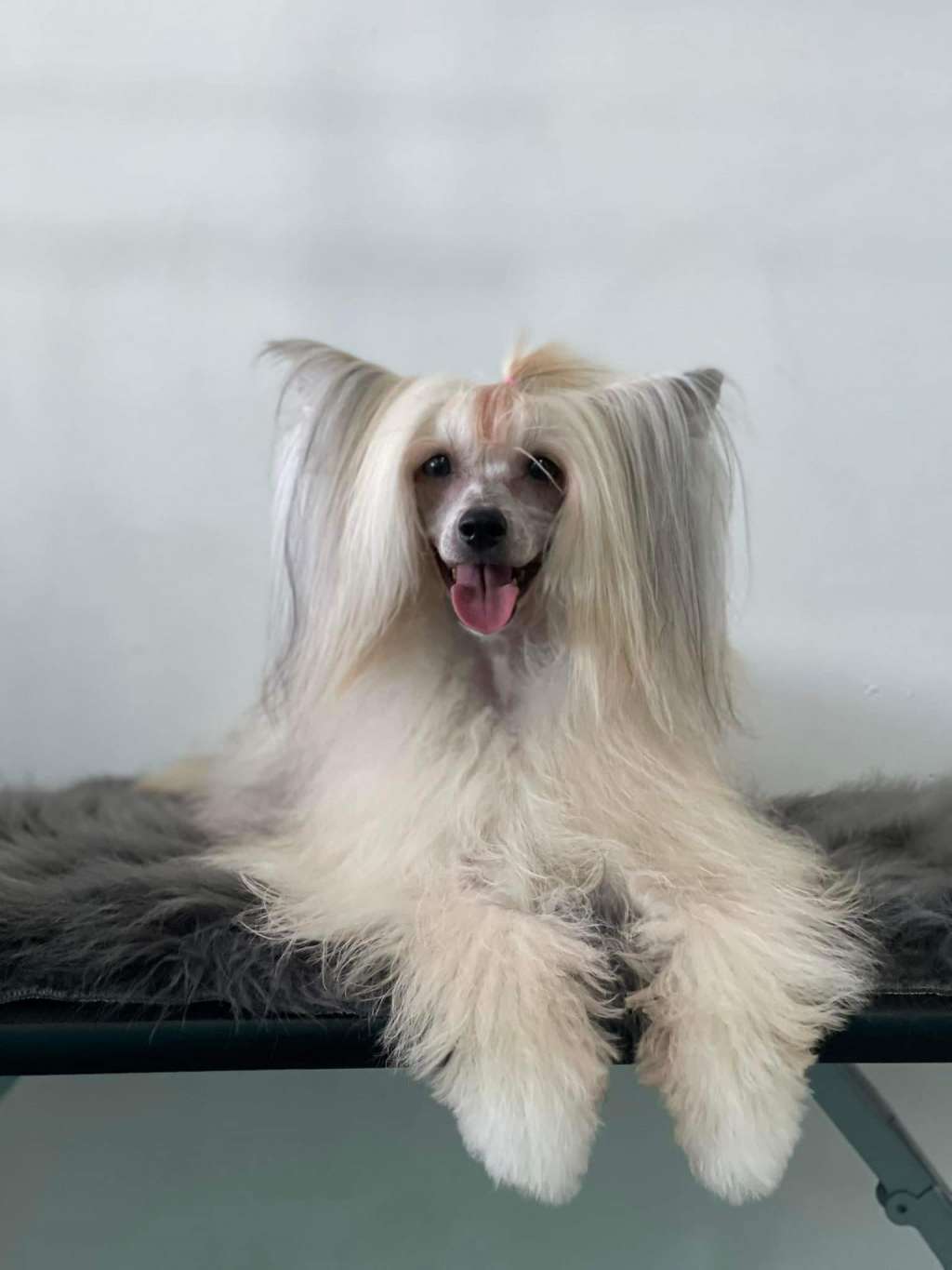 Khloe Kardashian Lybóriu's Legacy