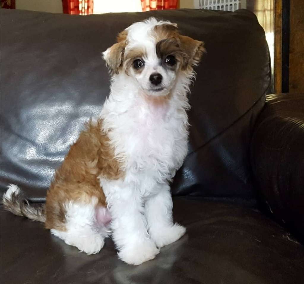 Spirit Of Mantra's Äntligen Succe'