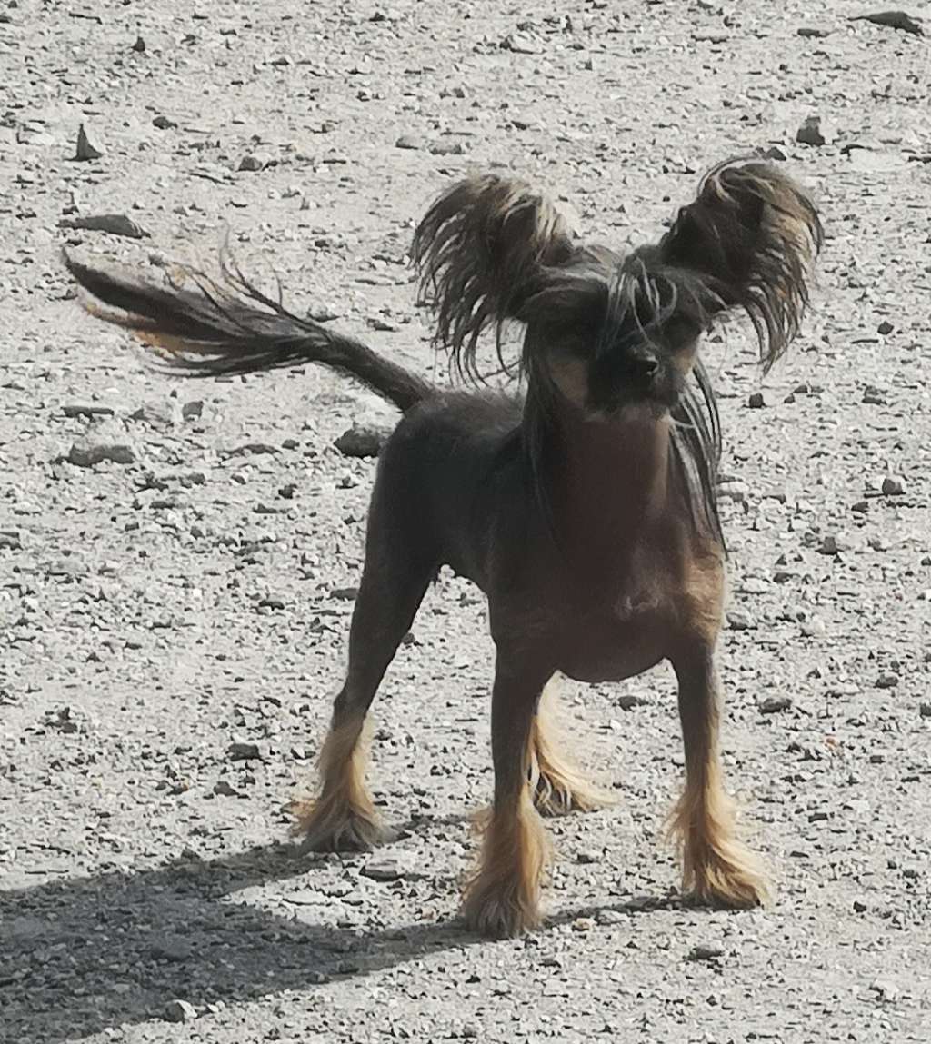 Eventyrvannets Prinsesse Idunn