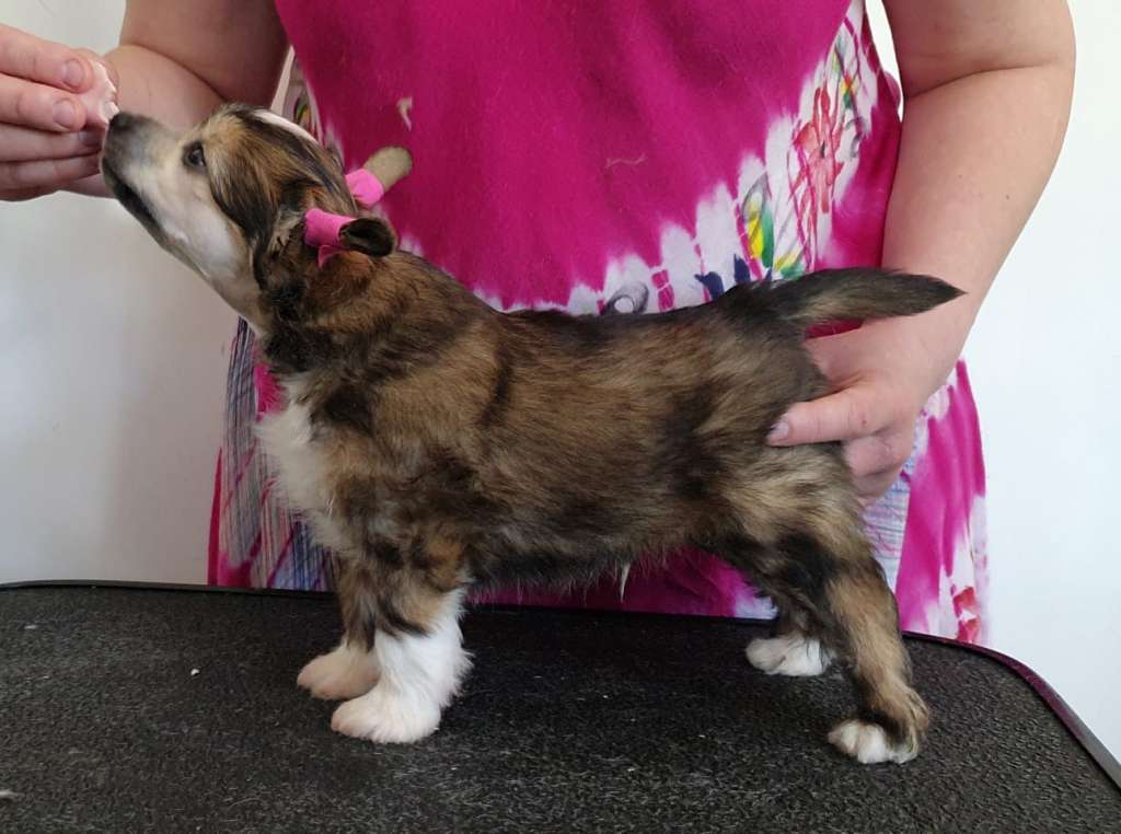 Kaitlin XCuse My Big Ego