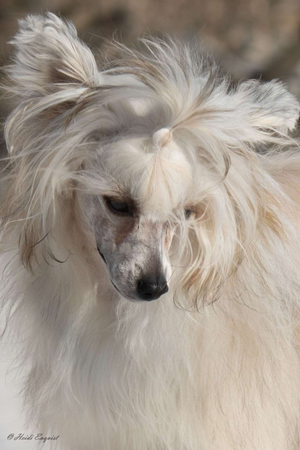 Kaitlin Xpect The Best