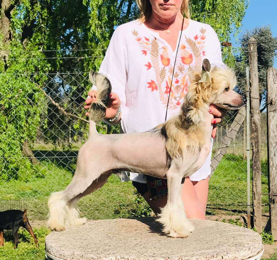 Extreme Palace Giorgio Armani